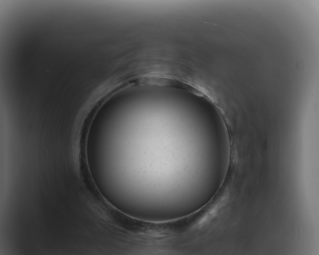 X0000089740199200706281613