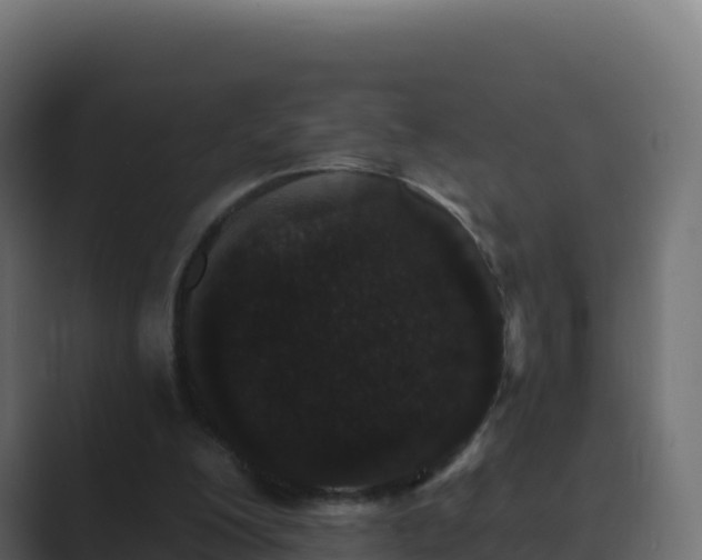 X0000089740200200706281613