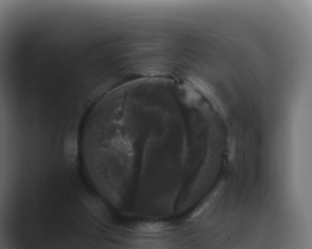 X0000089740202200706281613