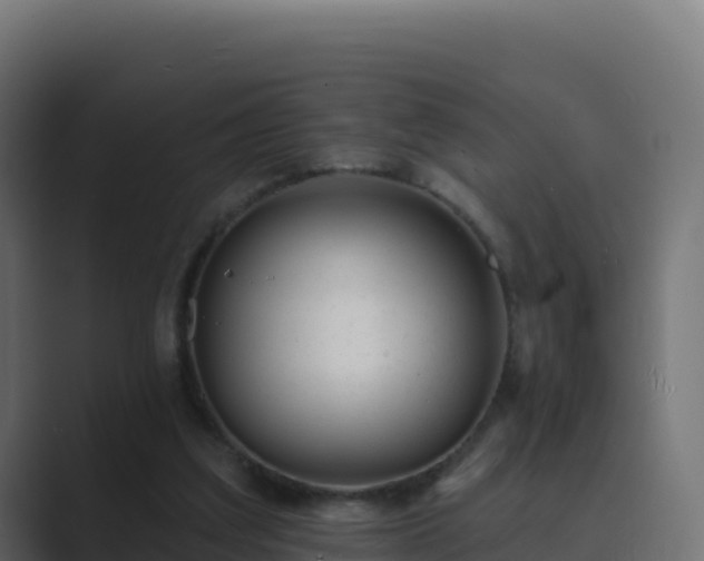 X0000089740203200706281613