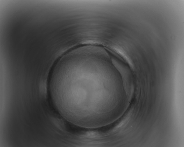 X0000089740204200706281613