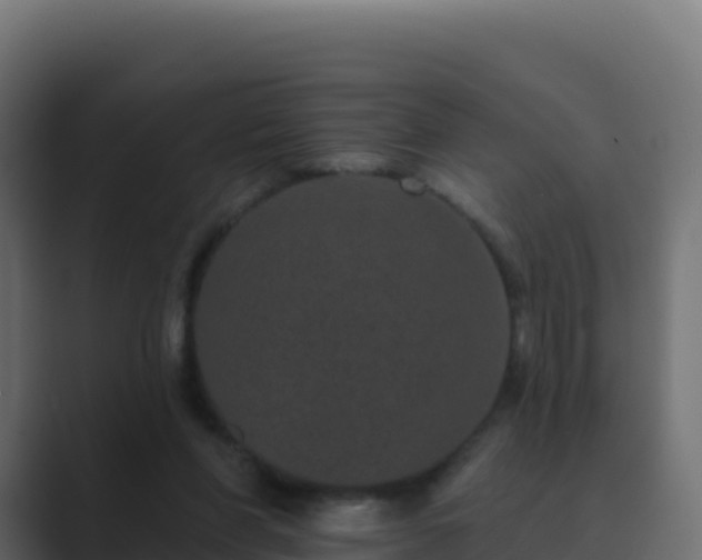 X0000089740206200706281613