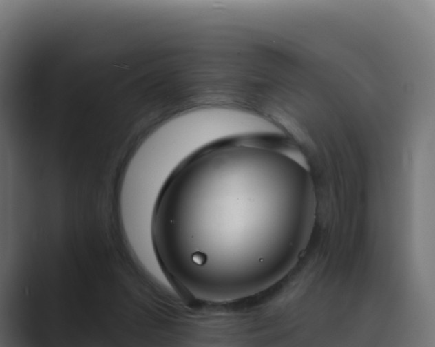 X0000089740207200706281613