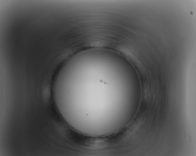 X0000089740208200706281613