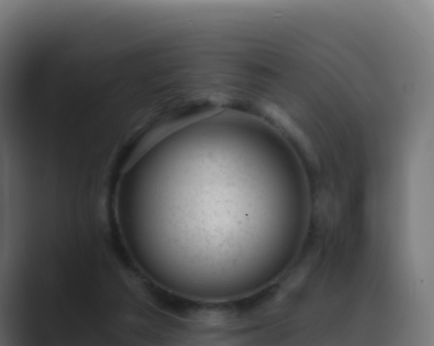 X0000089740209200706281613