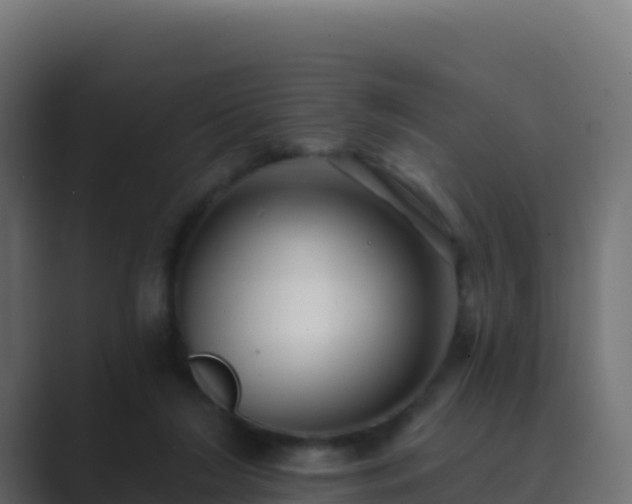 X0000089740212200706281613