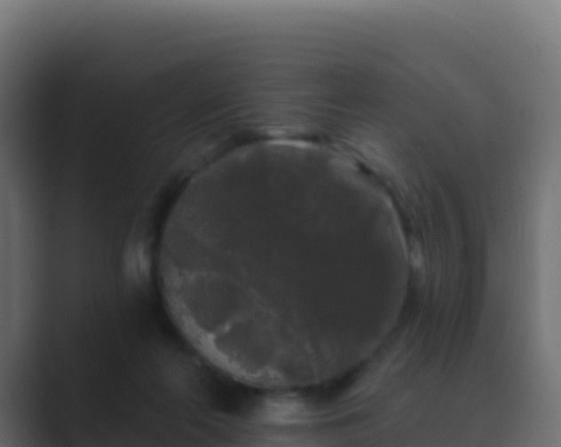 X0000089740214200706281613