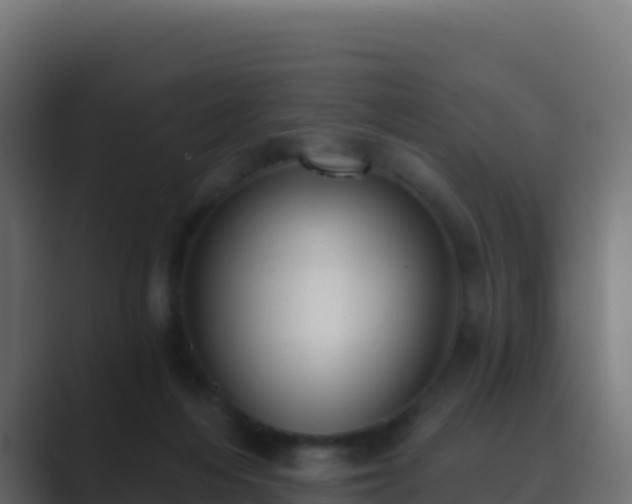 X0000089740216200706281613