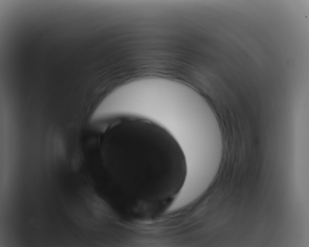 X0000089740219200706281613