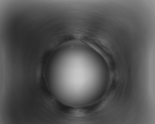 X0000089740221200706281613