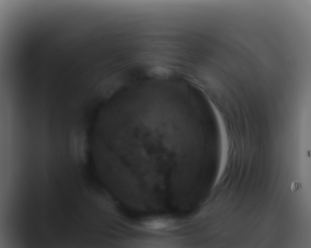 X0000089740223200706281613