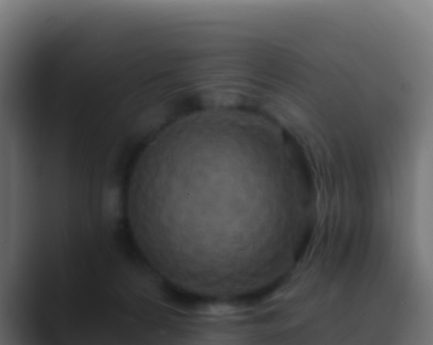 X0000089740224200706281613