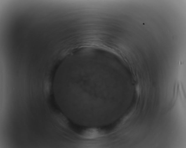 X0000089740227200706281613