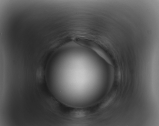 X0000089740228200706281613