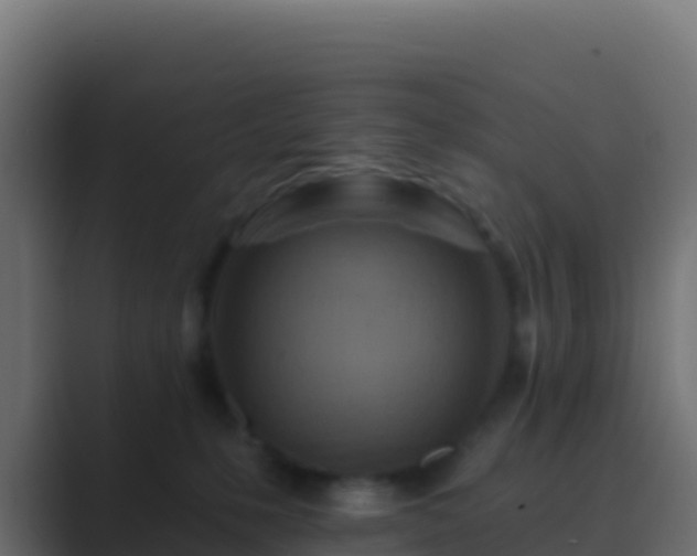 X0000089740231200706281613