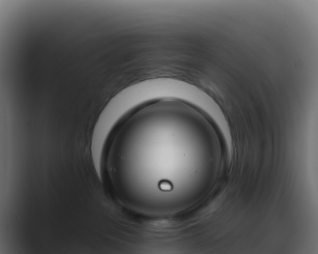 X0000089740237200706281613