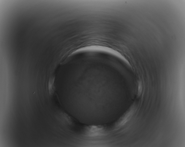 X0000089740239200706281613