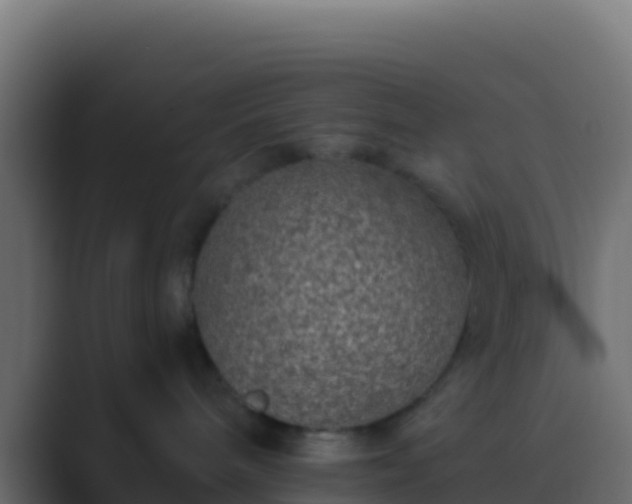 X0000089740240200706281613