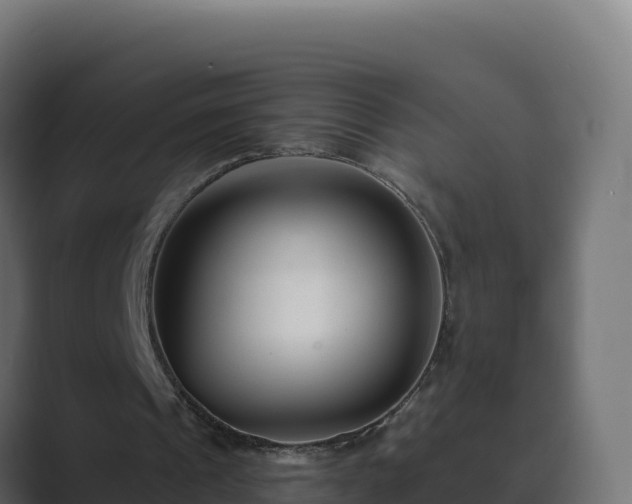 X0000089740241200706281612