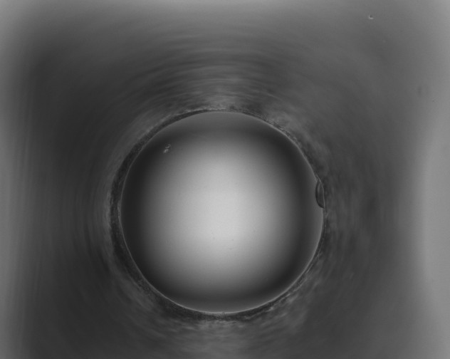 X0000089740242200706281612