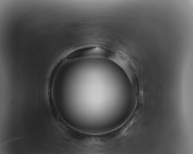 X0000089740244200706281612