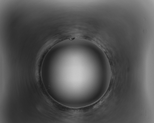 X0000089740245200706281612