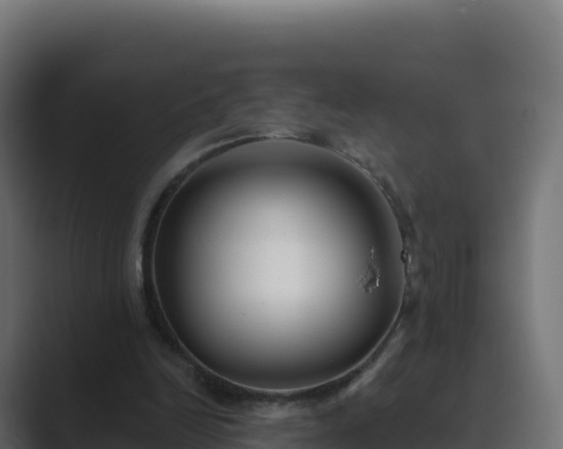 X0000089740246200706281612