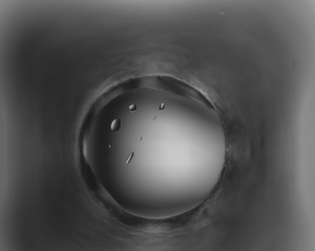 X0000089740248200706281612