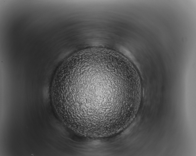 X0000089740249200706281612