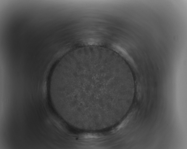 X0000089740250200706281612