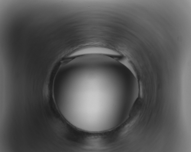 X0000089740252200706281612