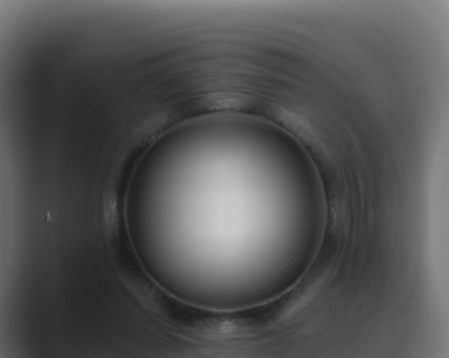 X0000089740254200706281612