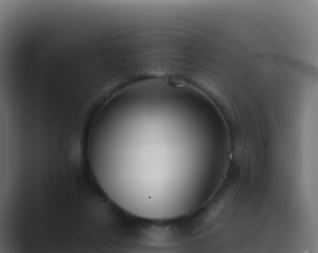 X0000089740256200706281613