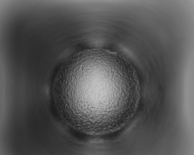 X0000089740258200706281613