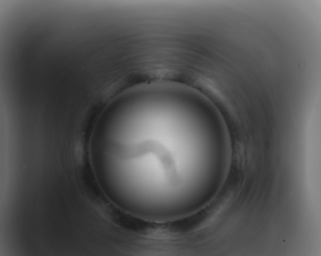 X0000089740259200706281613