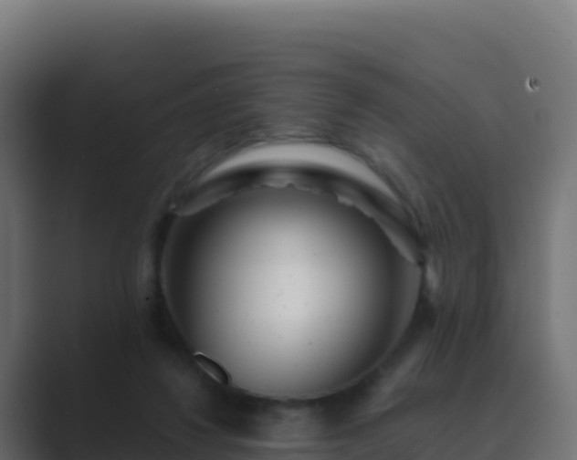 X0000089740260200706281613