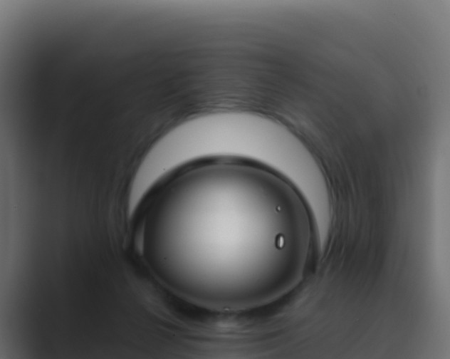 X0000089740264200706281613