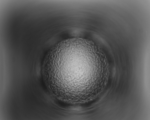 X0000089740266200706281613