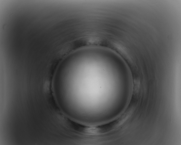 X0000089740269200706281613