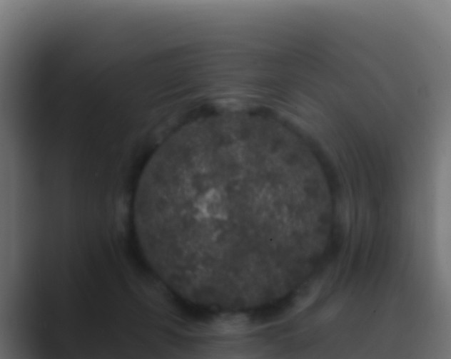 X0000089740271200706281613