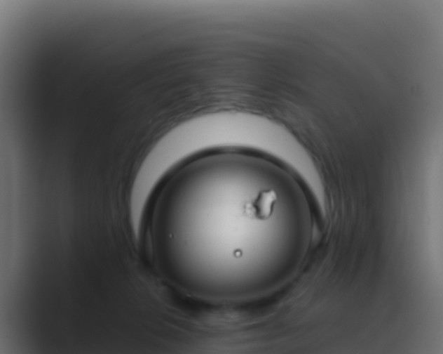 X0000089740276200706281613