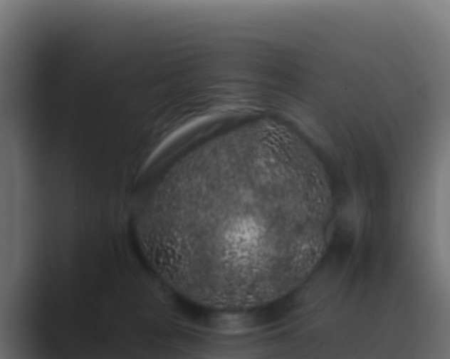 X0000089740277200706281613