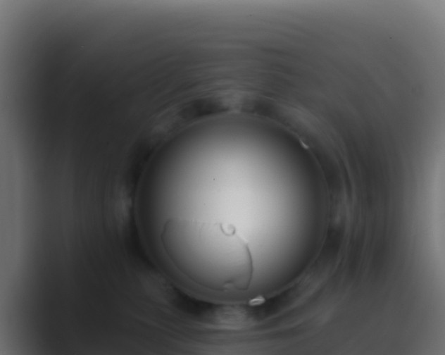 X0000089740279200706281613