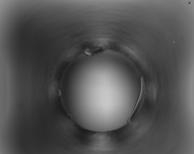 X0000089740280200706281613