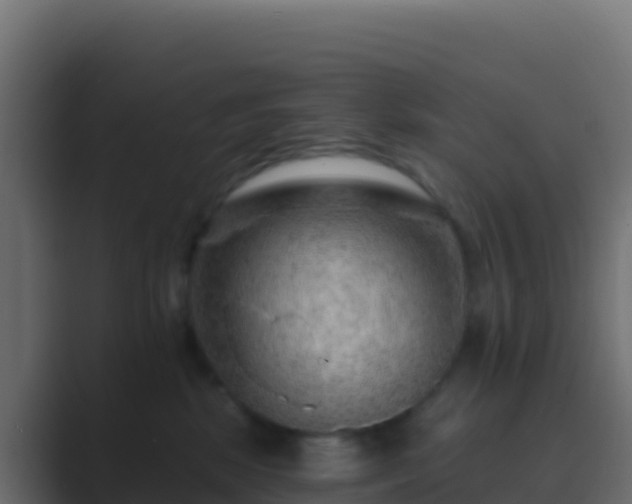 X0000089740281200706281613