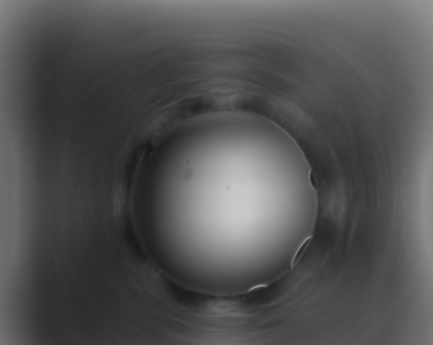 X0000089740283200706281613