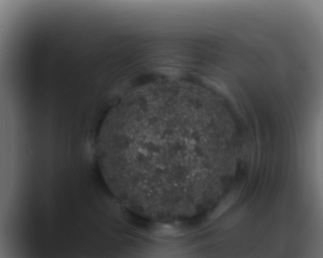 X0000089740285200706281613