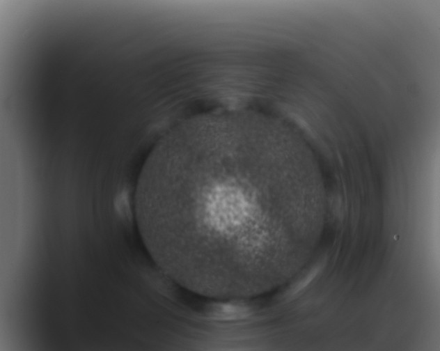 X0000089740286200706281613