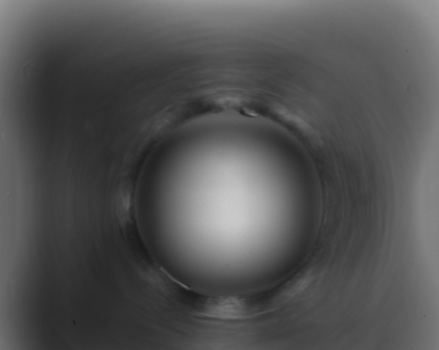 X0000089740288200706281613