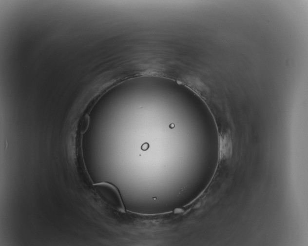 X0000089740291200706281612